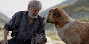 «Зов предков» с Харрисоном Фордом провалился в прокате