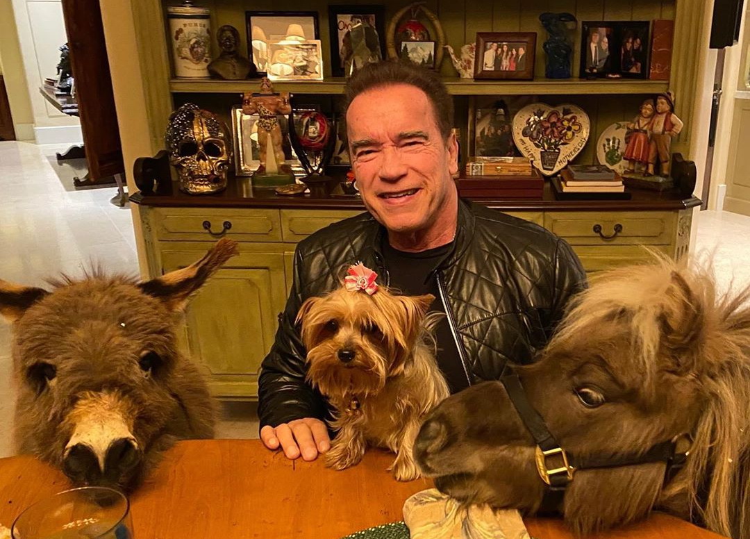 Арнольд Шварценеггер с домашними питомцами
