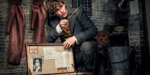 Съемки «Фантастических зверей 3» все-таки отменены