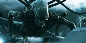 «Чужой 5» действительно находится в работе