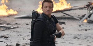 У сериала «Соколиный глаз» появился режиссер