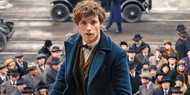 Возобновились съемки «Фантастических зверей 3»