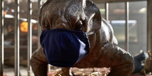 Команда «Мира Юрского периода 3» заразилась коронавирусом