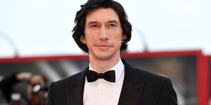 Адам Драйвер сыграет гитлероведа