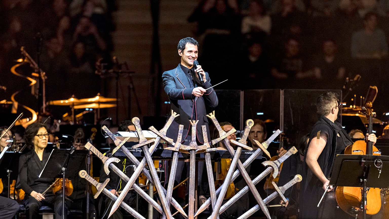 Рамин Джавади на концерте