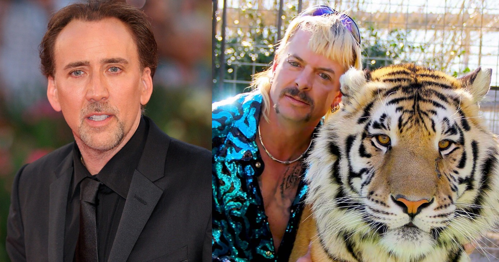 Николас Кейдж и Джо Экзотик