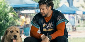 Неоціненний союз: Марк Уолберг та відважний пес в емоційному трейлері фільму "Артур Король" Неоціненний союз: Марк Уолберг та відважний пес в емоційному трейлері фільму "Артур Король"