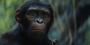 Фільм-Подія Року: Режисер розкриває таємниці довгоочікуваної стрічки "Королівство Планети Мавп" Фільм-Подія Року: Режисер розкриває таємниці довгоочікуваної стрічки "Королівство Планети Мавп"