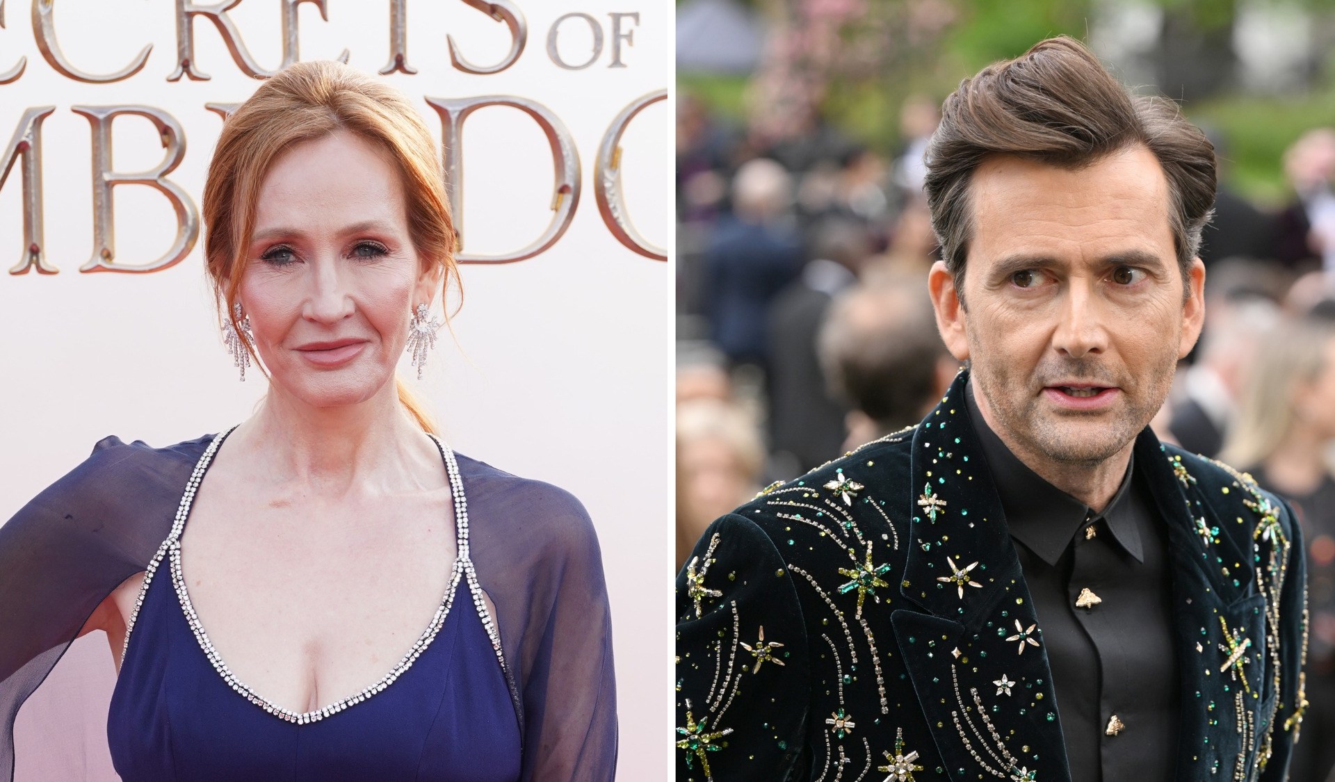  Дж.К. Роулінг та Девід Теннант