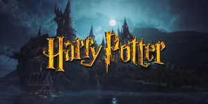 Довгоочікуваний серіал "Гаррі Поттер" залучає оскароносну дизайнерку костюмів Голлі Ваддінгтон Довгоочікуваний серіал "Гаррі Поттер" залучає оскароносну дизайнерку костюмів Голлі Ваддінгтон