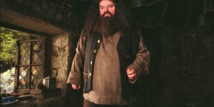 Чи справді Нік Фрост стане новим Хагрідом? Актор спростовує чутки