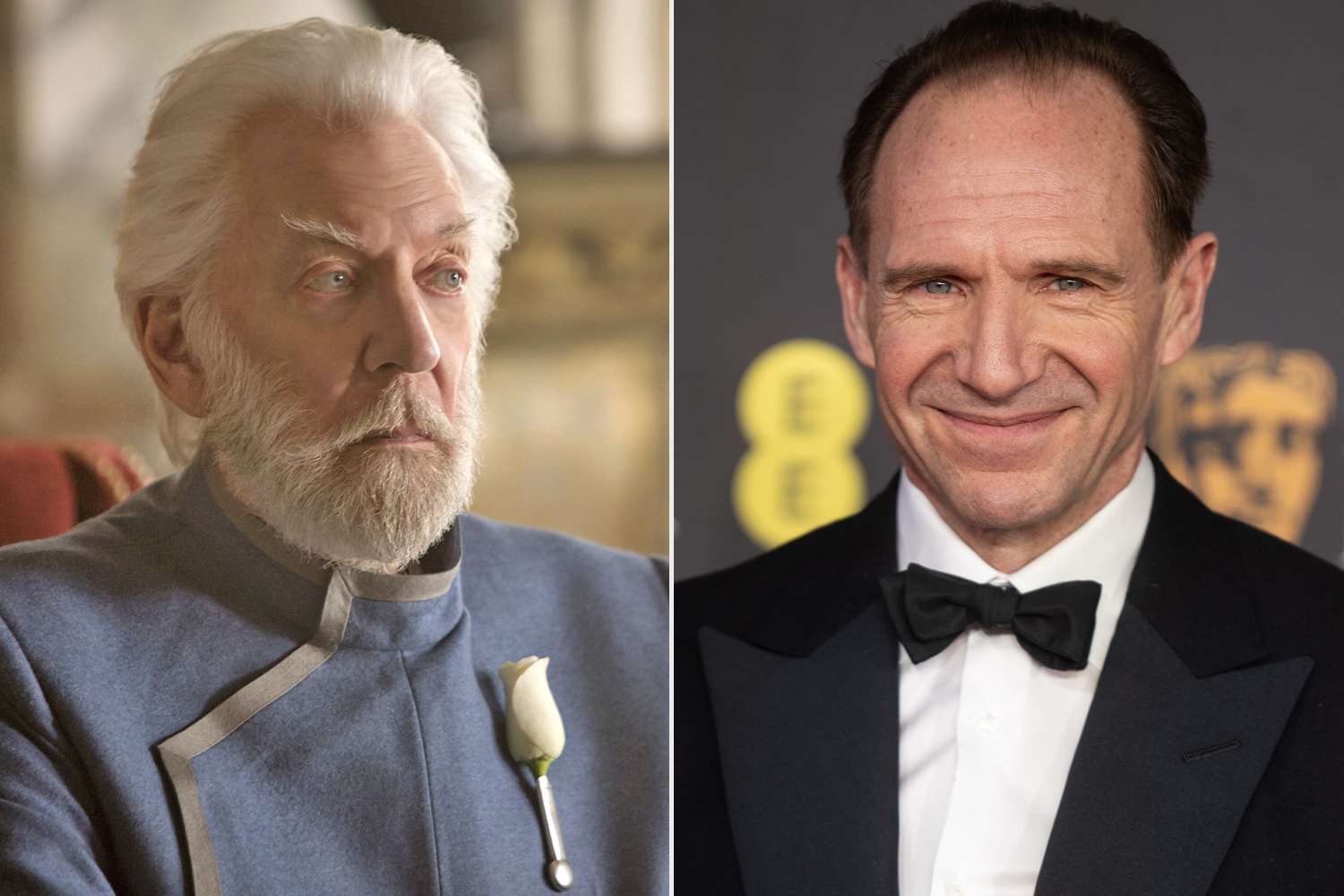  Дональд Сазерленд і Ральф Файнс