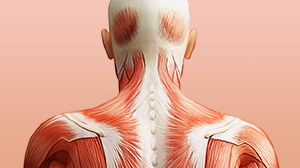 Врачебные тайны