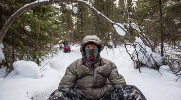 Фильмы про тайгу