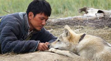 Фильмы про волков