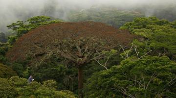 Фильмы про природу