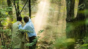 Фильмы про лес