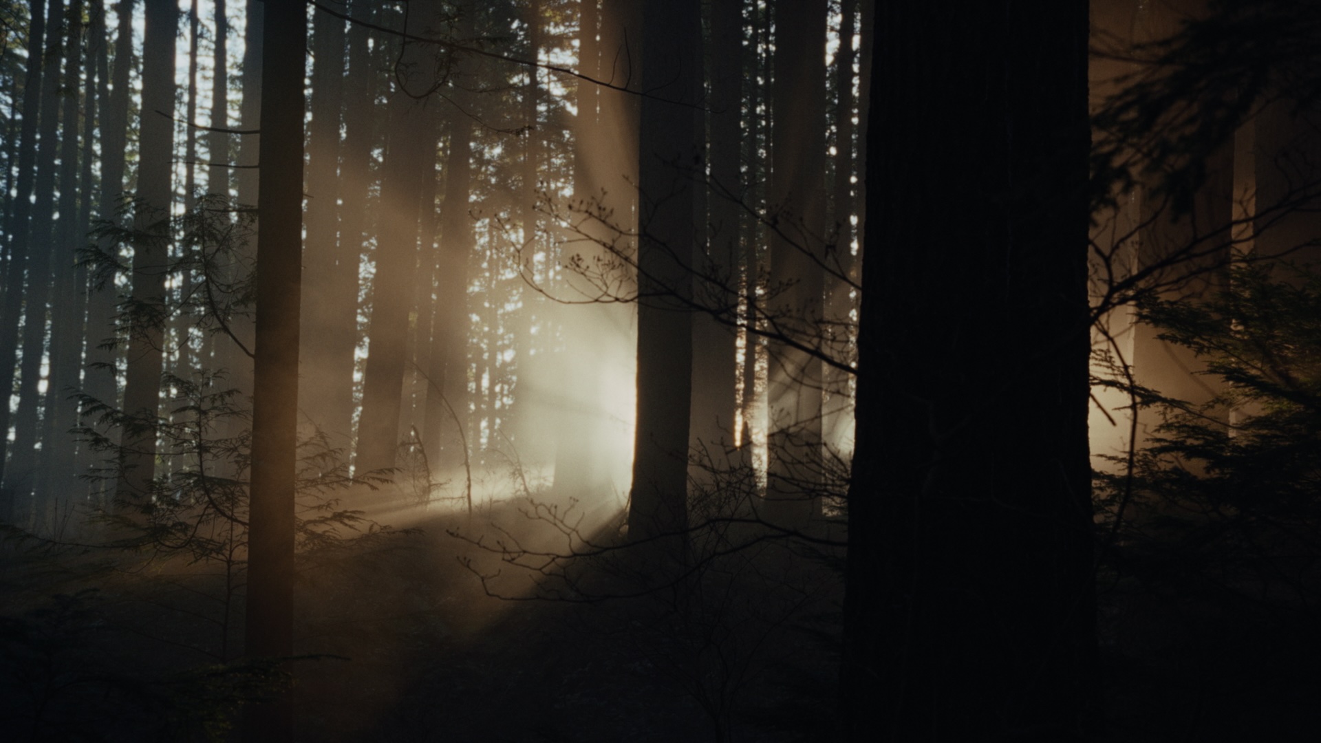 "Keeper": моторошний тизер і перші кадри нового фільму жахів від режисера "Довгоніга" "Keeper": моторошний тизер і перші кадри нового фільму жахів від режисера "Довгоніга"