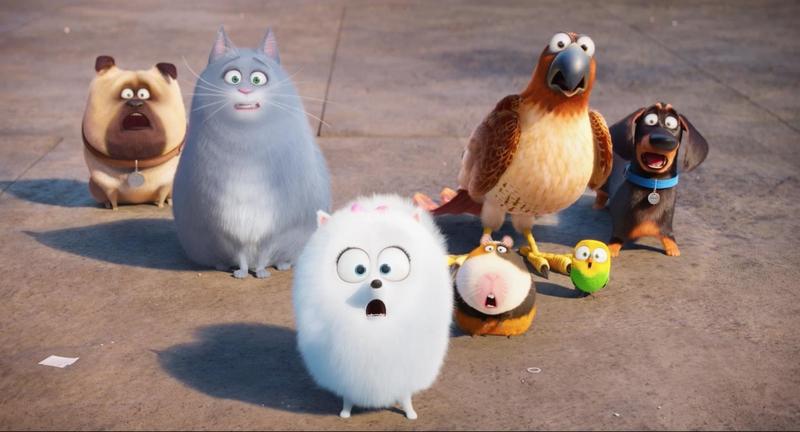 Стоит ли смотреть «Тайная жизнь домашних животных»